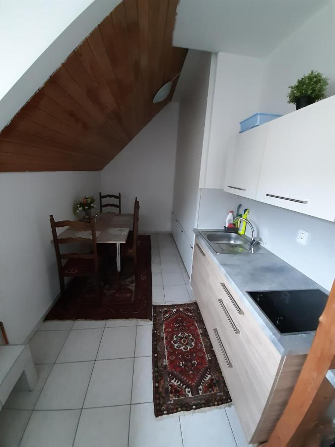 Apartmany Pod Hradem Holstejn Eksteriør billede